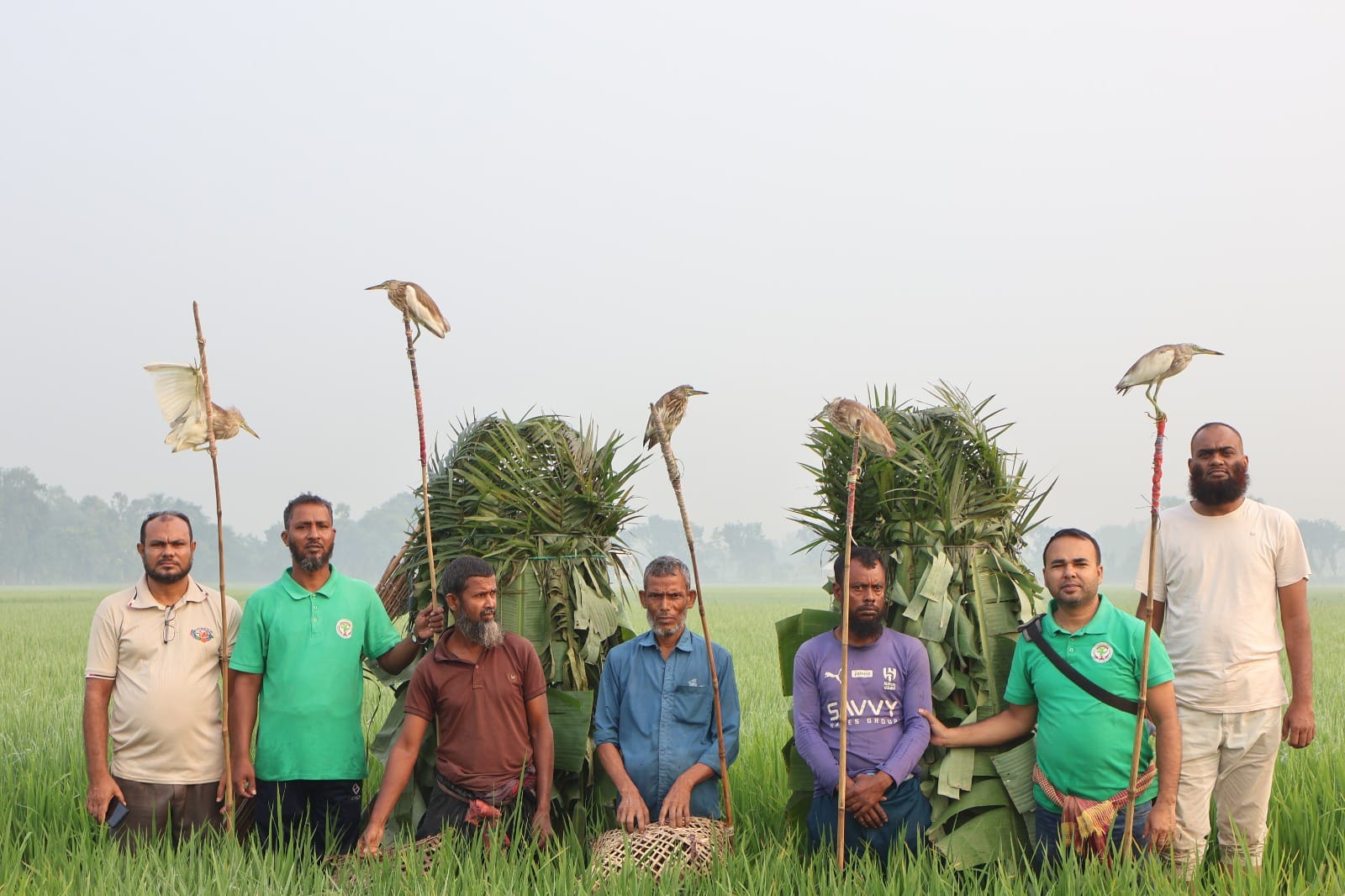 চলনবিলে ৫০ বক উদ্ধার, ৩ শিকারির জেল-জরিমানা