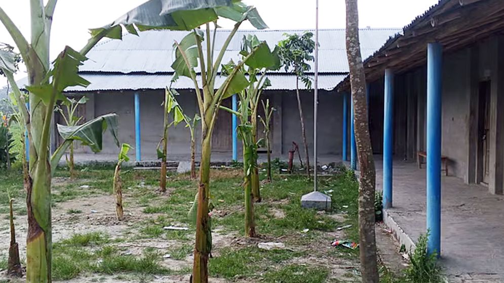 পুত্রবধূকে চাকরি না দেওয়ায় মাঠে কলাগাছ, শিক্ষকের কক্ষে তালা