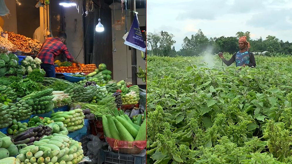 উৎপাদন থেকে ভোক্তার প্লেট: আমাদের ফসল কতটা নিরাপদ?