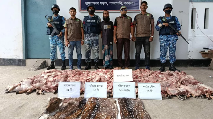 পাথরঘাটায় ৩৫০ কেজি হরিণের মাংস উদ্ধার, আটক ১