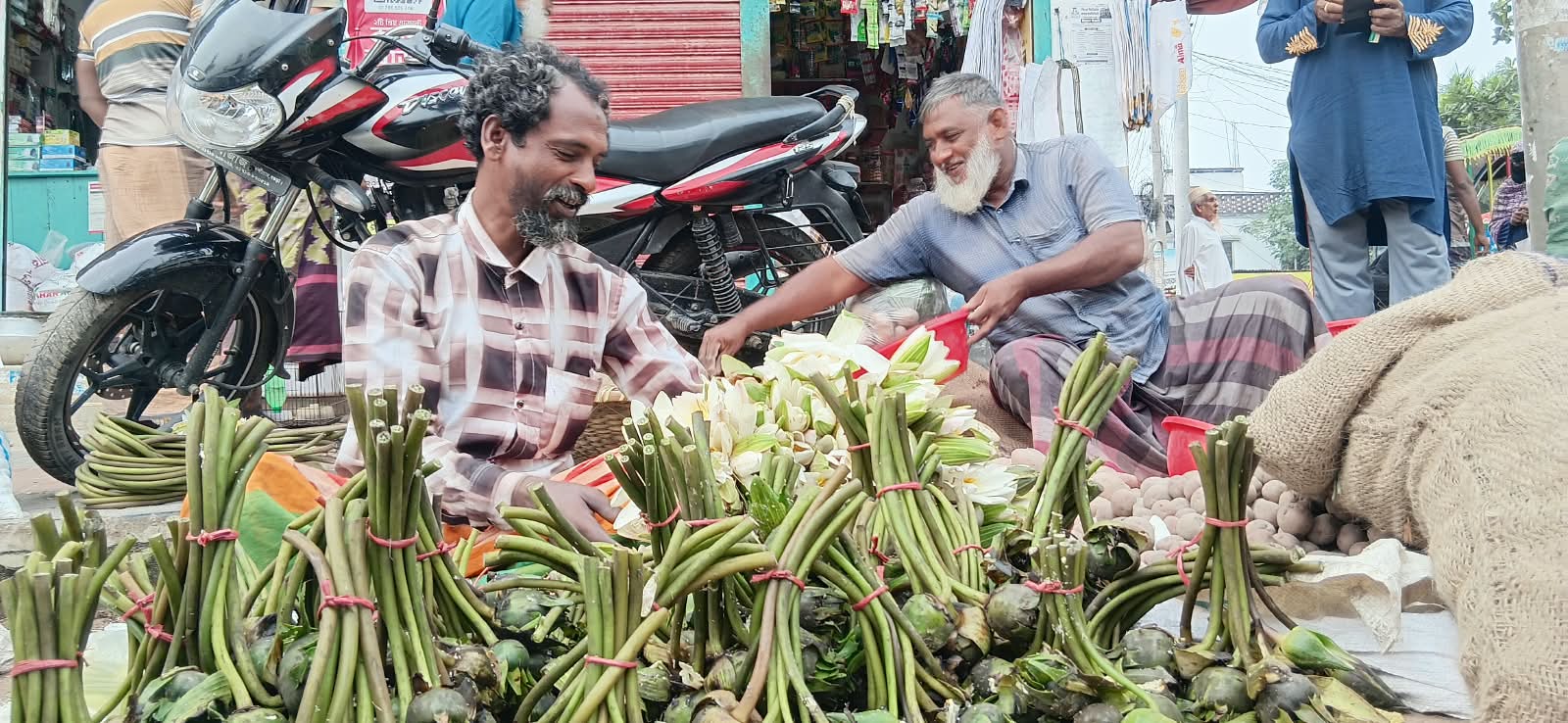 চলনবিলের শাপলা-ঢ্যাপ বিক্রিতে সংসার চলে আব্দুল আলিমের