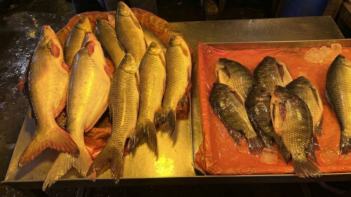 পাঙাশ-তেলাপিয়ার দামও নাগালের বাইরে, আমিষের জোগান নিয়ে দুশ্চিন্তায় নিম্নবিত্ত