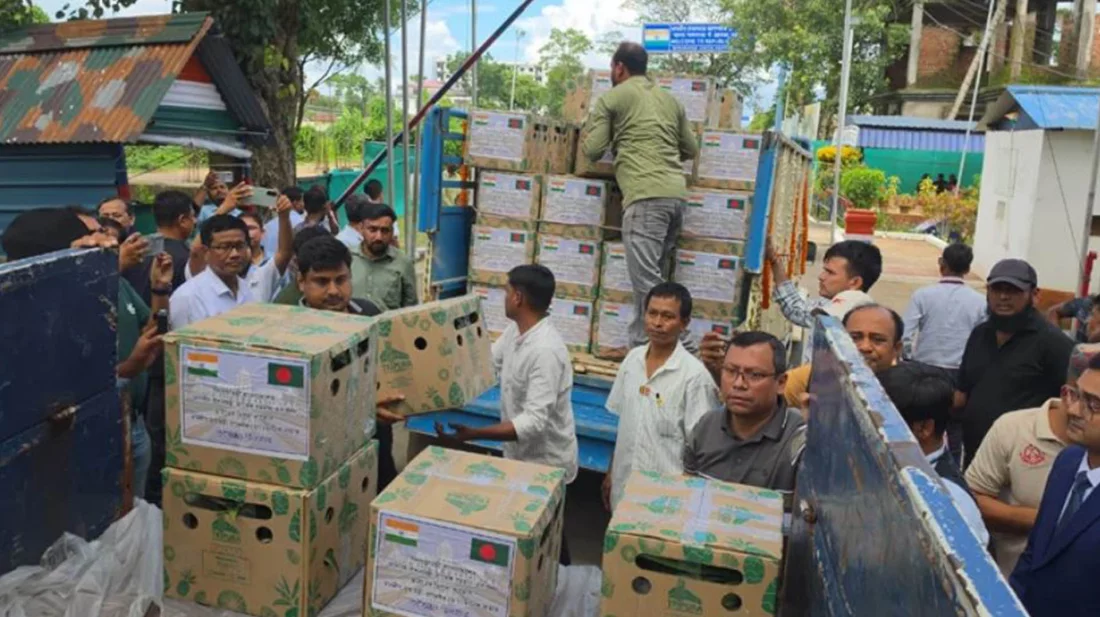 ত্রিপুরা থেকে প্রধানমন্ত্রী তারেক রহমানের জন্য ৭৮০ কেজি ‘কিউ’ আনারস উপহার