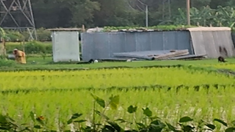 পাবনায় বিধবার ১৪ শতক জমি দখলের অভিযোগ, আদালতের রায়ের পরও মিলছে না প্রতিকার