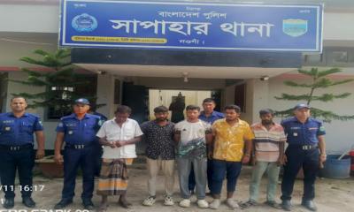 সাপাহারে অবৈধভাবে আম তোলা বাহিনীর ৫ সদস্য গ্রেফতার