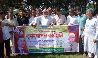 সাপাহারে ইউনিয়ন বিএনপির উদ্যোগে বৃক্ষরোপণ কর্মসূচি