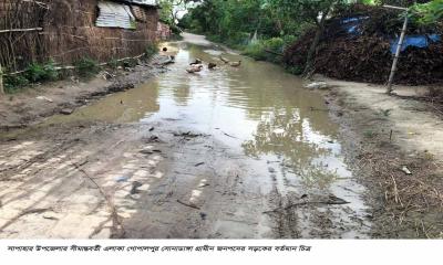 সাপাহার সোনাডাঙ্গা সীমান্ত সড়কের বেহাল দশা