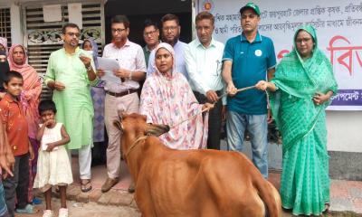 পাঁচবিবিতে অসহায় দরিদ্র মহিলাদের মাঝে এসডিএসের উদ্যোগে গরু বিতরণ