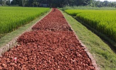 গাবতলীতে নিম্নমানের খোয়া দিয়ে সড়কের কাজ, আপত্তি উপেক্ষার অভিযোগ—দেখার কেউ নেই