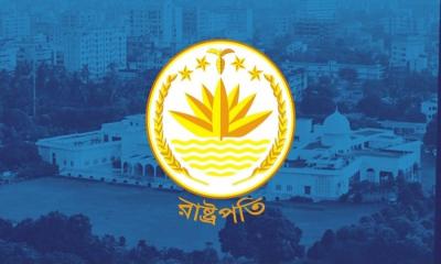 রাষ্ট্রপতি নির্বাচনে বিএনপির নতুন কৌশল , অতীতের ভুল আর নয়
