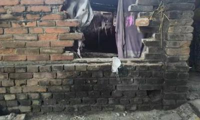 পাঁচবিবিতে গোয়ালঘরের সিঁদ কেটে দুটি বিদেশি গরু চুরি