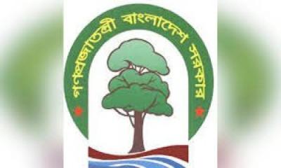 ৫ থেকে ৫০ লাখে পোস্টিং! দুদকের প্রতিবেদনে বন অধিদপ্তরের ‘বুনো কাণ্ড’