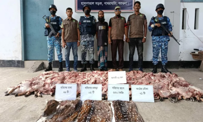 পাথরঘাটায় ৩৫০ কেজি হরিণের মাংস উদ্ধার, আটক ১