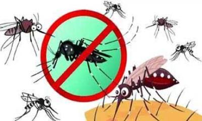 ডেঙ্গুর ভয়াবহ বিস্তার: বাড়ছে মৃত্যু-রোগী