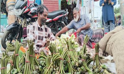 চলনবিলের শাপলা-ঢ্যাপ বিক্রিতে সংসার চলে আব্দুল আলিমের