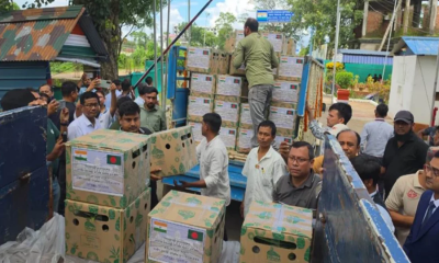ত্রিপুরা থেকে প্রধানমন্ত্রী তারেক রহমানের জন্য ৭৮০ কেজি ‘কিউ’ আনারস উপহার