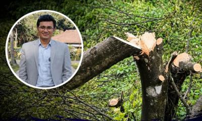 মৌলভীবাজারে নির্মমতা: ১০ লাখ টাকা চাঁদা না পেয়ে ফলন্ত ১২০০ কমলা গাছ সাবাড় করল বন বিভাগ
