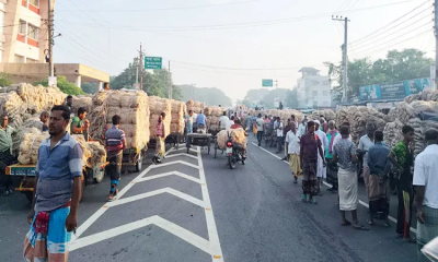 রাজশাহীতে পাটের বাম্পার ফলন, ৪৫০ কোটি টাকার বাণিজ্যের সম্ভাবনা