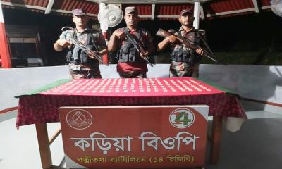পাঁচবিবি সীমান্তে বিজিবির অভিযানে ১৫শ পিস ট্যাপেন্টাডল ট্যাবলেট উদ্ধার