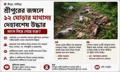 শ্রীপুরের গভীর জঙ্গলে ১২ ঘোড়ার মাথাসহ দেহাবশেষ, মাংস নিয়ে গেছে চক্র?