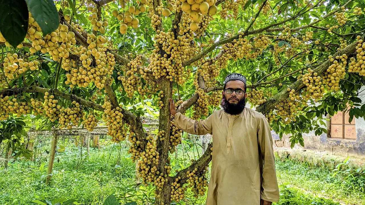 ইমামতি থেকে সফল উদ্যোক্তা, ‘নয়নপুরী লটকন’ বদলে দিয়েছে হাফেজ রোকনউদ্দিনের জীবন
