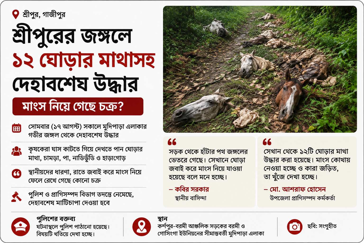 শ্রীপুরের গভীর জঙ্গলে ১২ ঘোড়ার মাথাসহ দেহাবশেষ, মাংস নিয়ে গেছে চক্র?